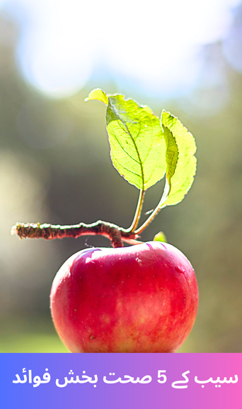 5 health benefits of apple 